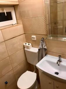 een kleine badkamer met een toilet en een wastafel bij Komfort apartman in Vác