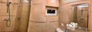 a bathroom with a shower and a toilet and a tv at Komfort apartman in Vác