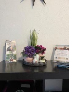 Ảnh trong thư viện ảnh của Geisingblick ở Geising +4 ảnh