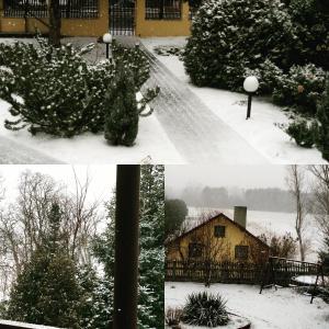 vier foto's van een sneeuwbedekte tuin met een kerstboom bij Przylesie in Uniejow