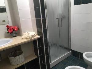 a bathroom with a shower and a sink and a toilet at Vivere il mare in Palinuro