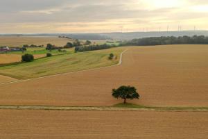 Naturlandschaft in der Nähe des Hotels
