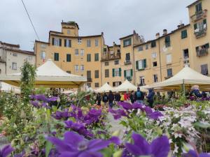 Gallery image of Lucca in Corte near the city centre in Lucca