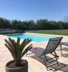 a pair of chairs and a plant next to a swimming pool at La Tour de la Conterie in Beaumont-Village