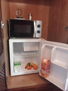 eine Mikrowelle auf einem Kühlschrank in der Unterkunft Alojamiento rural Zona Bienestar in Aldeaquemada
