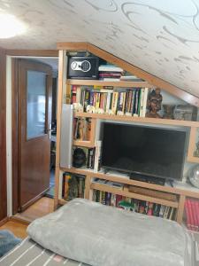 a living room with a tv and book shelves at APARTMENT " Studio Green " free parking, self check-in in Zagreb