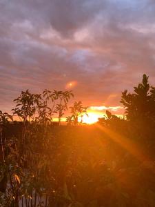 einen Sonnenuntergang über einem Feld mit Bäumen im Vordergrund in der Unterkunft Sunset House - 130 qm Whg. - Vallendar / Koblenz in Vallendar