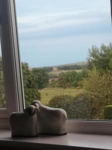 uma estátua sentada no parapeito da janela com vista em Greystones guesthouse em Whitby