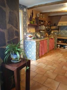 kuchnia z blatem i stołem z rośliną w obiekcie Nidal del Búho Casa Rural w mieście Azuel
