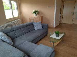 uma sala de estar com um sofá e uma mesa em Ferienwohnung Kreuzgasse em Bad Frankenhausen