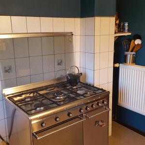 una estufa con una olla encima en Maison alsacienne en Oberbetschdorf