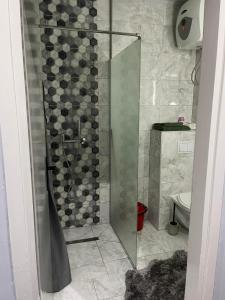 a shower with a glass door in a bathroom at LP Apartments in Tuzla