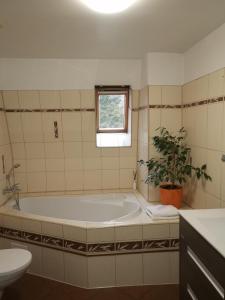 a bathroom with a tub and a potted plant at Apartmány Paseky - Jablonec nad Nisou in Jablonec nad Nisou