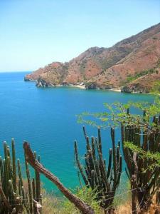 een uitzicht op een blauw meer met een cactus bij La Deseada - Casa privada in Taganga