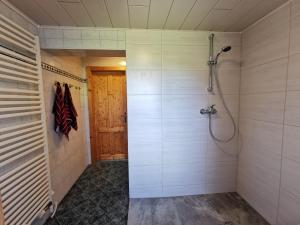 a bathroom with a shower and a walk in shower at Ferienhaus Rosl am Grundlsee in Grundlsee