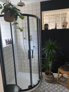 een douche in een badkamer met potplanten bij The Old Chair Workshop in Sedbergh