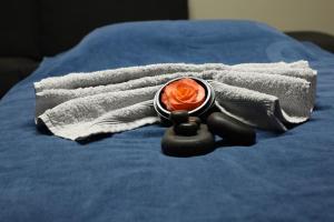 Fotografie z fotogalerie ubytování B&B Porcini v destinaci Ermelo