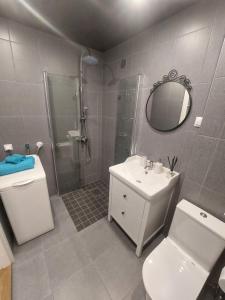 a bathroom with a shower and a toilet and a sink at Roosi apartment Haapsalu in Haapsalu