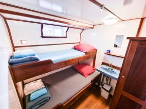 ハーレムにあるThe Cabin - Haarlemの小さな客室で、二段ベッド2台、シンクが備わります。