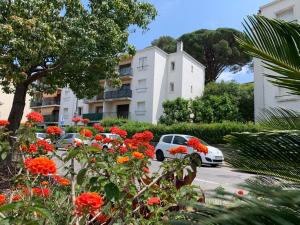 Gallery image of CASSIS VILLAGE Options Parking and Baby in Cassis