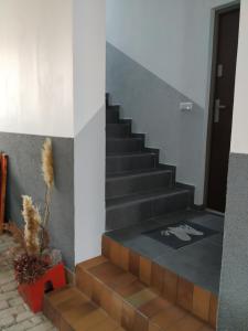 un conjunto de escaleras con una puerta y una planta en Mehrfamilien Haus en Schkeuditz