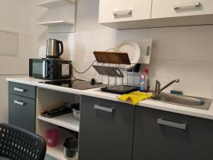 Een keuken of kitchenette bij Mehrfamilien Haus