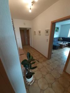 a living room with a potted plant and a hallway at Ferienwohnung Kleeblatt in Alpen