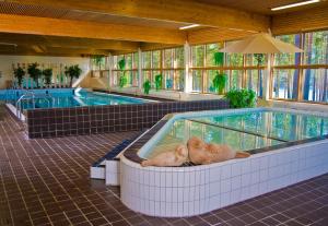 two pigs laying in a pool in a building at Saimaanranta Resort by Anttolanhovi in Mikkeli