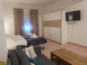 Televízia a/alebo spoločenská miestnosť v ubytovaní Studio apartment Calm nature