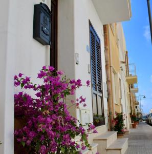 a bunch of purple flowers on the side of a building at Desy Appartamenti in San Vito lo Capo