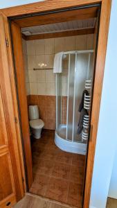 a small bathroom with a shower and a toilet at Słoneczna Przystań - Apartament in Szczedrzyk +21 photos