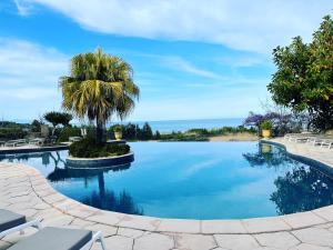 einen Pool mit einer Palme und dem Meer in der Unterkunft La Solenzara Hôtel in Sari Solenzara