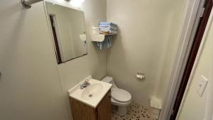 a bathroom with a sink and a toilet and a mirror at Four Oaks Lodging in Smithfield