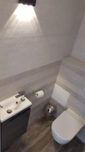 尼斯的住宿－Très beau 3 pièces spacieux lumineux et climatisé，浴室配有白色卫生间和盥洗盆。