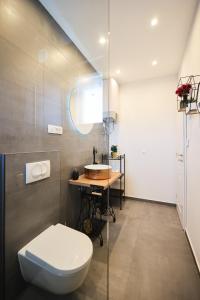 a bathroom with a toilet and a sink at Apartments Marta in Verunić