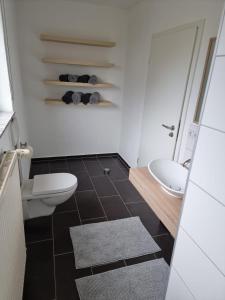 a bathroom with a toilet and a sink at Haus Elke in Blankenrath