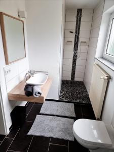 bagno con doccia, lavandino e servizi igienici di Haus Elke a Blankenrath