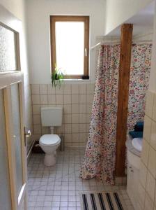 y baño con aseo y cortina de ducha. en Wanderlust, en Bad Harzburg