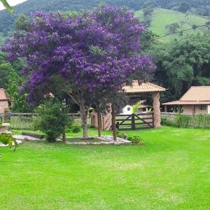 un árbol púrpura en un patio verde con una casa en Recanto das Flores, en São Thomé das Letras