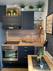 uma cozinha com um fogão e um lavatório com plantas em Jojo House Les Damps n 12 em Les Damps