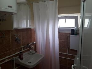 Vonios kambarys apgyvendinimo įstaigoje Seoska kuća Rakić - Tara