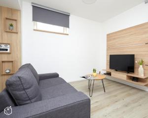 TV a/nebo společenská místnost v ubytování Well Done Apartment Bratislava