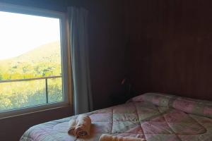 um quarto com uma cama e uma grande janela em Casa ecológica de montaña con vista increíble em Los Cocos