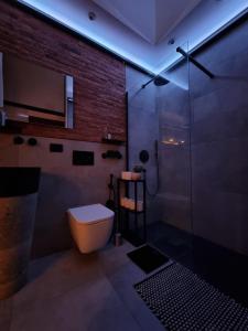 een badkamer met een douche, een toilet en een wastafel bij LOFT8 Wonderful industrial loft in Turin in Turijn