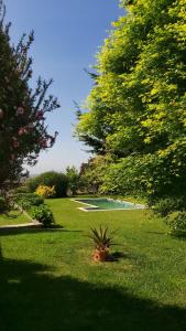 un patio verde con una maceta en el césped en Casa de Gião, en Gião