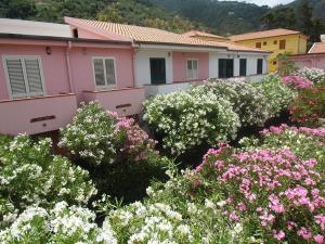 Zahrada ubytování Villaggio Hotel Club Calanovellamare