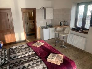 Kuhinja oz. manjša kuhinja v nastanitvi Apartmány Županovice