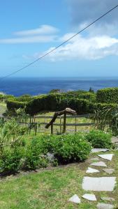 a giraffe standing in a field next to a fence at Faial Cottage B&B in Cedros