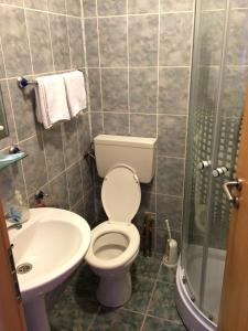 een badkamer met een toilet, een wastafel en een douche bij Pensiunea Simina in Caransebeş