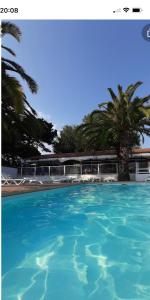 a blue pool with palm trees in the background at Mobil Home ARGELÈS SUR MER 4-6 personnes in Plage dʼArgelès